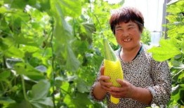 农村美女吃网红瓜,趣味横生的生活瞬间