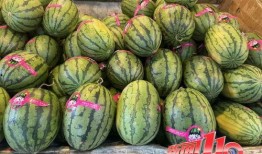 云南吃瓜事件网红艾滋,网红艾滋争议引发社会关注与反思