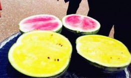 729吃瓜爆料,揭秘娱乐圈幕后真相