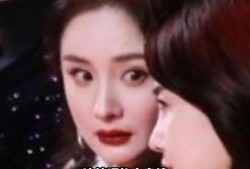 娱乐圈的瓜吃撑了,揭秘明星幕后故事