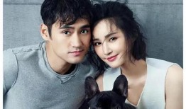 娱乐圈吃瓜小达人