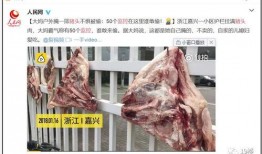 猪头吃瓜爆料图片,揭秘娱乐圈最新爆料瞬间