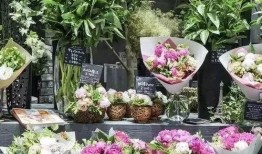 吃瓜网花店,浪漫花语，传递心意