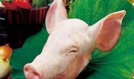 猪头吃瓜爆料图片,揭秘娱乐圈最新爆料瞬间