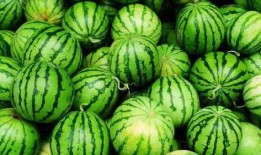 娱乐公司工作吃瓜,揭秘娱乐公司工作日常的吃瓜瞬间