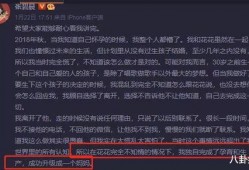 娱乐圈弹幕吃瓜小说