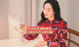 娱乐吃瓜酱法律有多严谨,揭秘法律严谨背后的严密体系