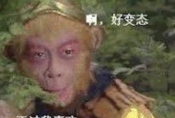 孙悟空吃瓜表情包是什么意思啊,揭秘网络流行文化的趣味解读
