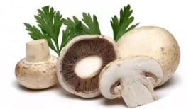 蘑菇视频吃瓜爆料,娱乐圈最新吃瓜大揭秘！