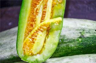 如何吃网红的瓜,如何轻松吃遍热门话题